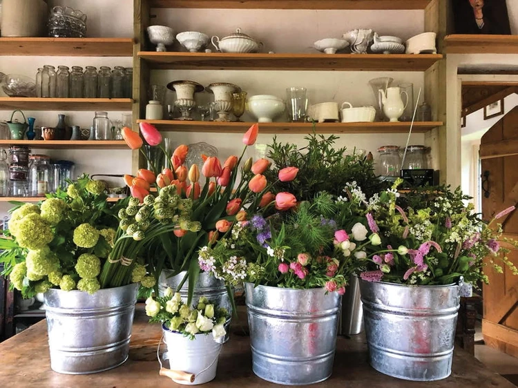 in bloom an interview with georgie newbery